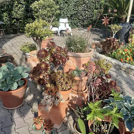 Grande Lumineuse Avec Cuisine,sdb Et Acces A Un Jolie Jardin Lejlighed *