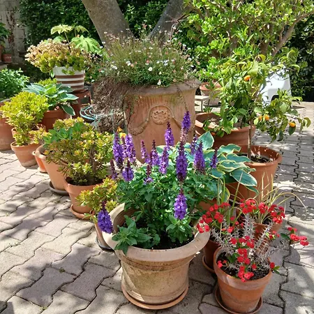 Lejlighed Grande Lumineuse Avec Cuisine,sdb Et Acces A Un Jolie Jardin *